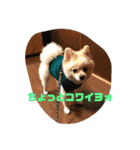 むちゃくんスタンプ（個別スタンプ：12）