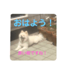 むちゃくんスタンプ（個別スタンプ：15）