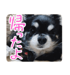 岡も岩さん（個別スタンプ：11）