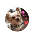 岡も岩さん（個別スタンプ：40）