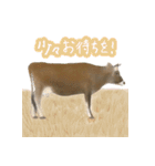 薫る野牧場のジャージー牛さん達 (2)（個別スタンプ：23）