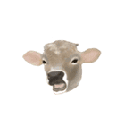 薫る野牧場のジャージー牛さん達 (2)（個別スタンプ：29）