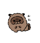 丁寧なたぬたぬ。（個別スタンプ：33）