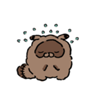 丁寧なたぬたぬ。（個別スタンプ：34）