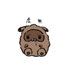 丁寧なたぬたぬ。（個別スタンプ：37）