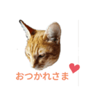 ふうきん（個別スタンプ：2）