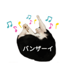 ふうきん（個別スタンプ：9）