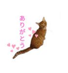 ふうきん（個別スタンプ：11）