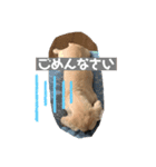 ダックスと暮らす毎日③（個別スタンプ：2）