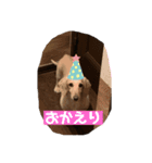 ダックスと暮らす毎日③（個別スタンプ：8）