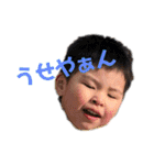 らいるい2020パート2（個別スタンプ：13）