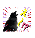 日常会話我が家のわんこ（個別スタンプ：30）