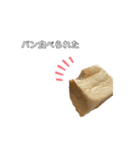 ちゃちゃ・きゅうり・食パン（個別スタンプ：15）