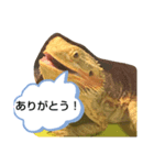 フトアゴちゃんスタンプ（個別スタンプ：4）