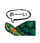 自粛カメ（個別スタンプ：2）