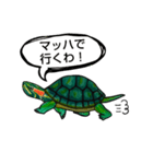 自粛カメ（個別スタンプ：4）