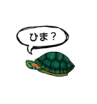 自粛カメ（個別スタンプ：5）