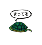 自粛カメ（個別スタンプ：6）