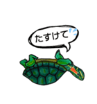 自粛カメ（個別スタンプ：7）