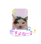 ルバコ（個別スタンプ：3）