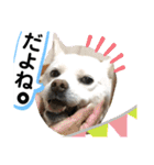 ルバコ（個別スタンプ：5）