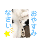 ルバコ（個別スタンプ：8）