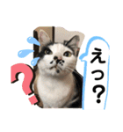 ルバコ（個別スタンプ：9）