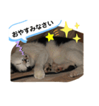 ルバコ（個別スタンプ：12）