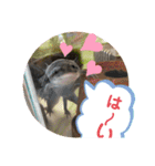 ルバコ（個別スタンプ：13）