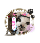 ルバコ（個別スタンプ：18）