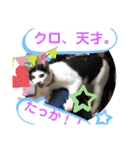 ルバコ（個別スタンプ：23）