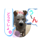 ルバコ（個別スタンプ：24）