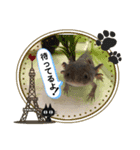 ルバコ（個別スタンプ：25）