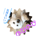 ルバコ（個別スタンプ：27）