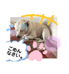 ルバコ（個別スタンプ：28）