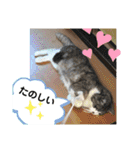 ルバコ（個別スタンプ：29）