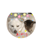 ルバコ（個別スタンプ：36）