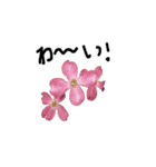 お花スタンプ2020（個別スタンプ：1）