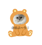 可愛い桃ちゃんスタンプ❤️（個別スタンプ：3）