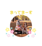 rinon ym（個別スタンプ：18）