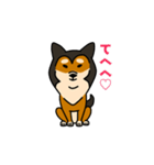 赤ごま柴犬きくまるです（個別スタンプ：9）