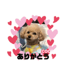 ココちゃんといっしょ（個別スタンプ：2）