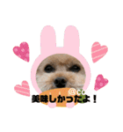 ココちゃんといっしょ（個別スタンプ：3）