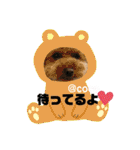 ココちゃんといっしょ（個別スタンプ：4）