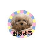ココちゃんといっしょ（個別スタンプ：9）