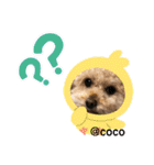 ココちゃんといっしょ（個別スタンプ：15）