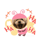 ココちゃんといっしょ（個別スタンプ：16）