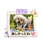 ココちゃんといっしょ（個別スタンプ：17）