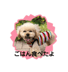 ココちゃんといっしょ（個別スタンプ：22）