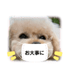 ココちゃんといっしょ（個別スタンプ：32）